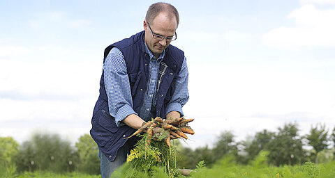 A man in a blue vest and checked shirt is holding a bunch of freshly harvested carrots in a field.