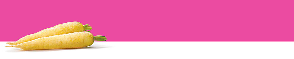 Two yellow carrots with green tops are placed against a pink background.