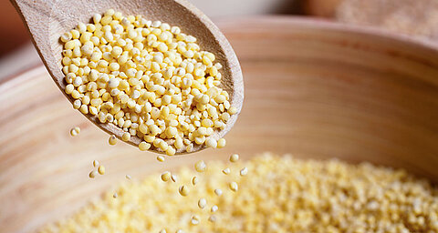 A wooden spoon filled with small, round, yellow grains rests above a bowl of the same grains.
