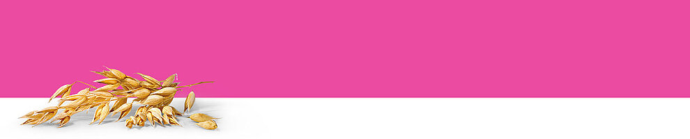 A bunch of golden-yellow grains or seeds is placed on a white surface against a pink background.