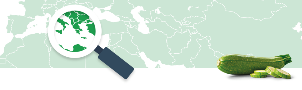 A magnifying glass focuses on a region of a world map, while a zucchini is displayed to the right.