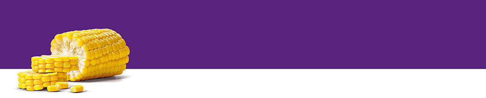 A corn cob with kernels is presented against a purple background.