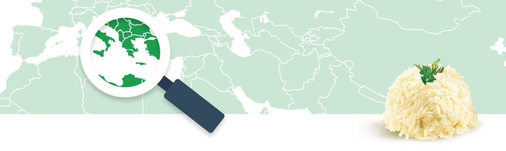 A magnifying glass focuses on a region of a world map, while a mound of rice with a sprig of dill rests on the bottom right.