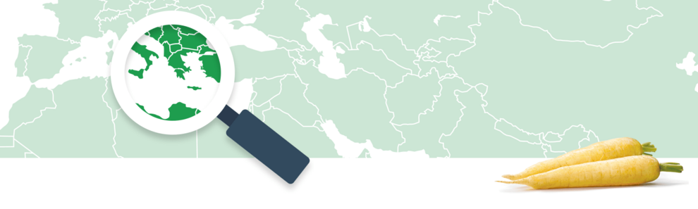 A magnifying glass focuses on a region of a world map, while two carrots lie on the bottom right.