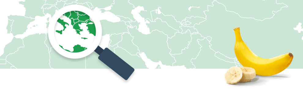 A magnifying glass focuses on a green region of a world map, while a banana and its sliced half rest on the bottom right.