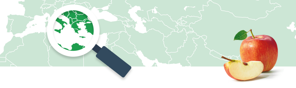 A magnifying glass focuses on a green region of a world map, while a whole and a sliced apple sit to the right.