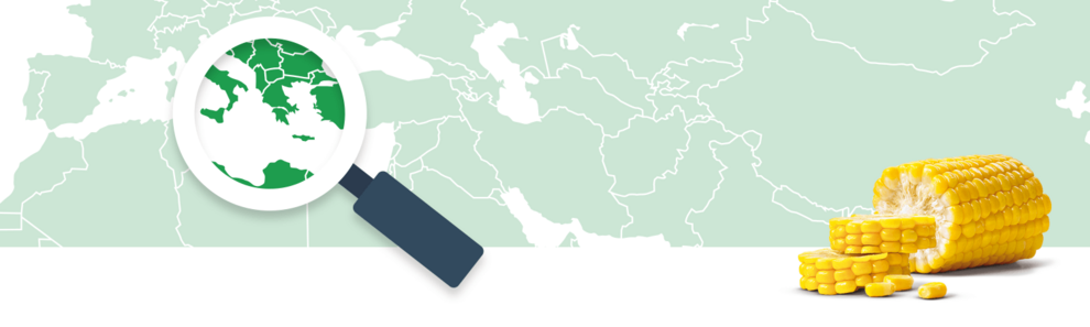 A magnifying glass focuses on a green region of a world map, while a corn cob and kernels sit nearby.