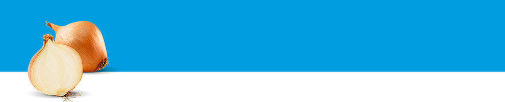 Two onions, one whole and one sliced, are displayed against a blue background.