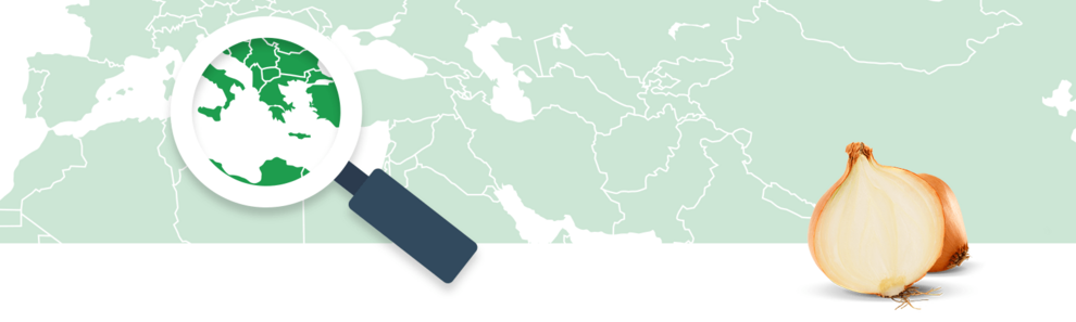 A magnifying glass focuses on a region of a world map, while two onions sit in the foreground.