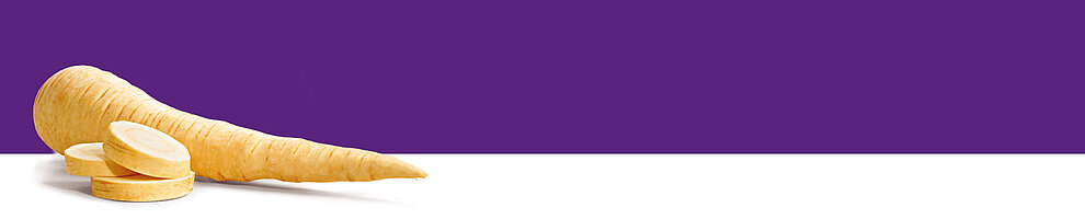 A large, spiral-shaped, beige-colored object with a series of evenly spaced, circular, cut sections rests on a white surface against a purple background.