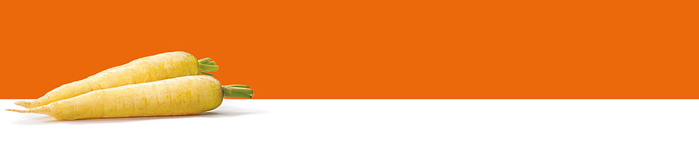 Two yellow vegetables with green tops are placed against a white background.