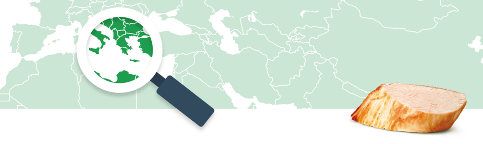 A magnifying glass focuses on a region of a world map, while a piece of wood rests on the bottom right.