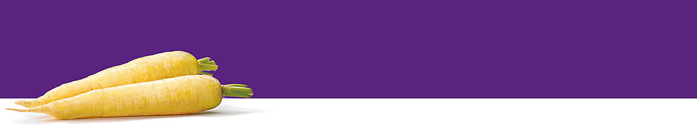 Two yellow, textured vegetables with green tops are placed against a purple background.