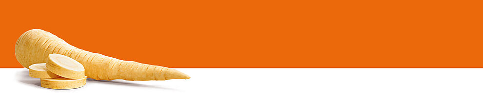 A parsnip with slices against a white background.