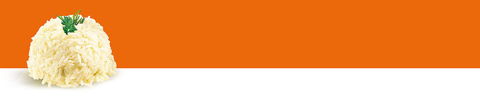 A mound of rice with a sprig of green herb on top.