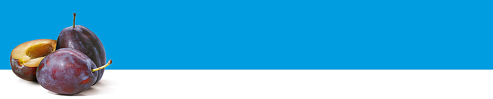 Three plums are displayed against a blue background.