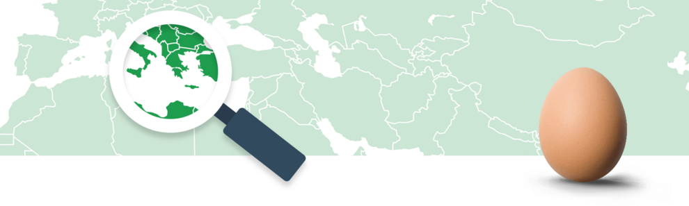 A magnifying glass focuses on a region of a world map, while an egg stands in the foreground.