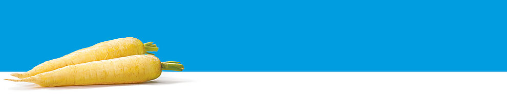 Two yellow, textured vegetables with green tops are placed against a blue background.