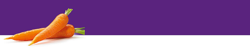 Two carrots with green tops are placed against a purple background.