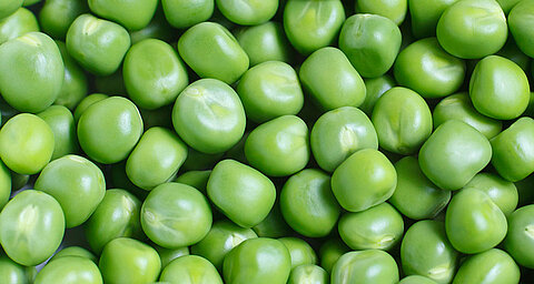 Close-up of green peas.