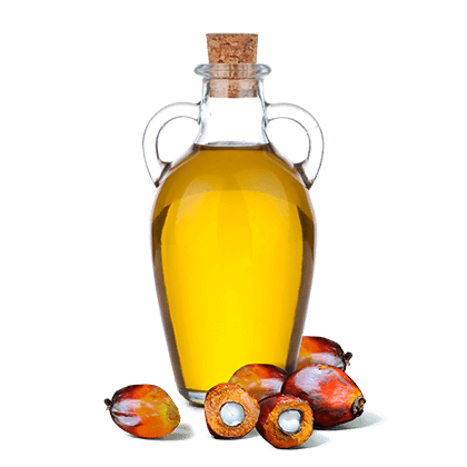 A bottle of oil with a hand full of palm seeds besides it