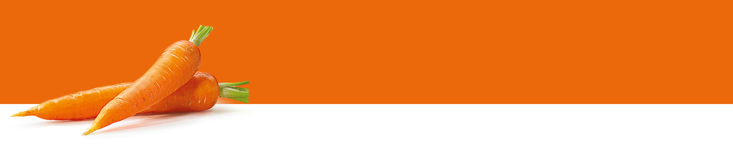 Two carrots with green tops are placed against a solid orange background.