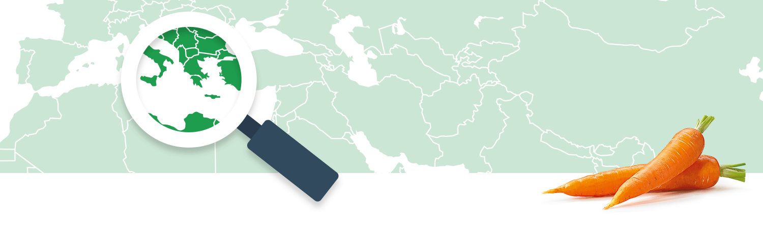 A magnifying glass focuses on a region of a world map, while two carrots lie on the bottom right.