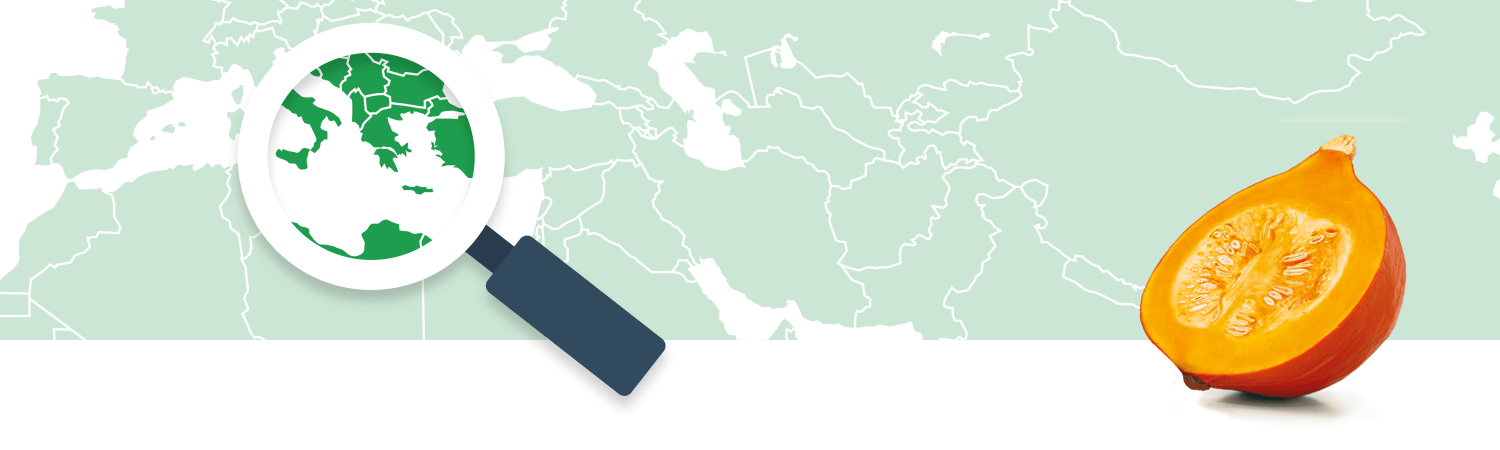A magnifying glass focuses on a region of a world map, while a cut pumpkin sits to the right.