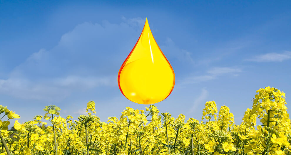 A large, vibrant yellow droplet hovers above a field of yellow flowers under a clear blue sky.