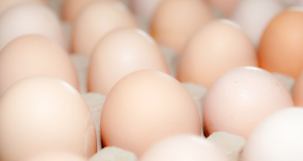 Eggs.