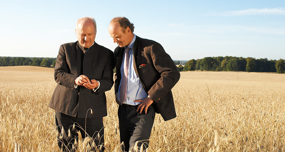 Two men in suits are examining something in a wheat field.